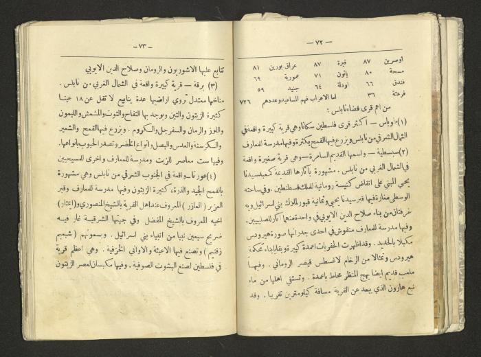 A Summary of Palestine's Geography, Book By Hussain Rawhi, 1923  