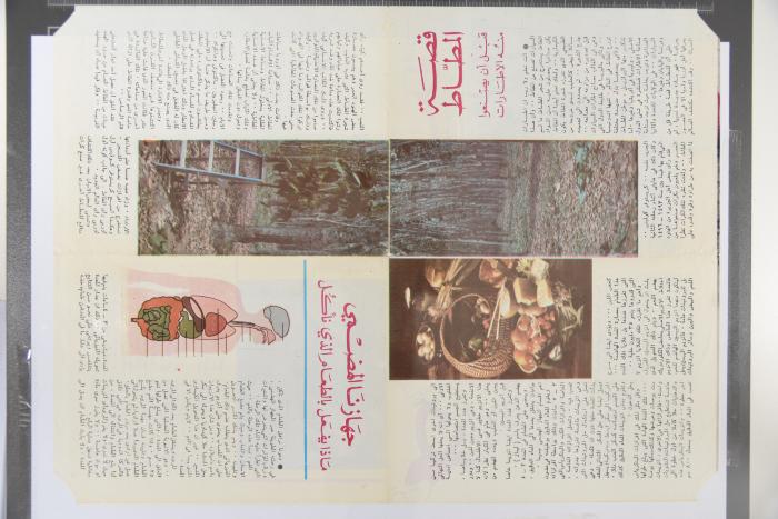 العدد 227 من مجلة العربي الصغير الصادر في تشرين الثاني 1978 