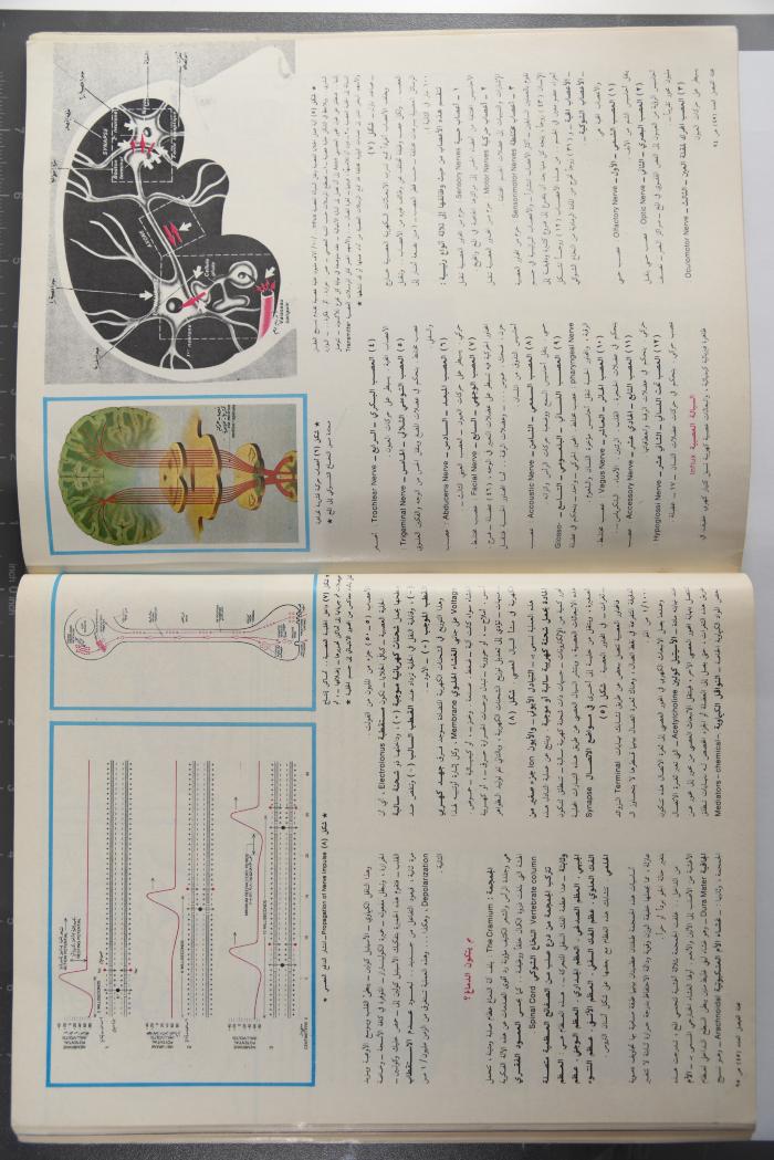 Alfaisal Magazine, the Thirty-seventh Issue