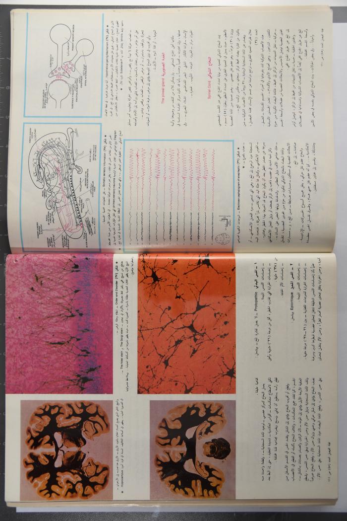 Alfaisal Magazine, the Thirty-seventh Issue