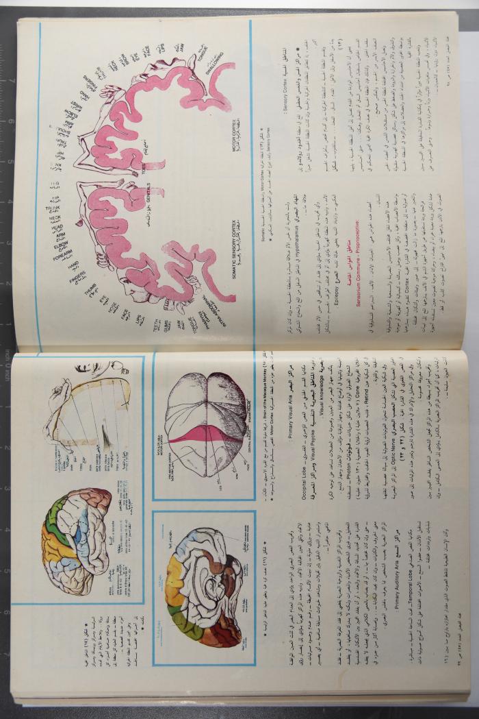 Alfaisal Magazine, the Thirty-seventh Issue