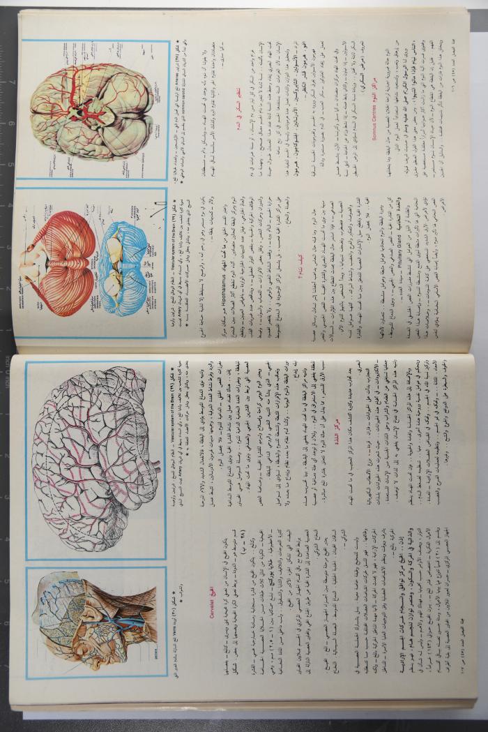 Alfaisal Magazine, the Thirty-seventh Issue