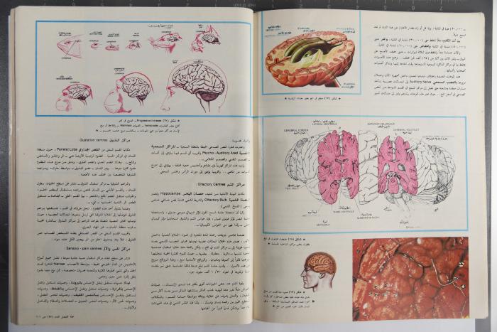 Alfaisal Magazine, the Thirty-seventh Issue