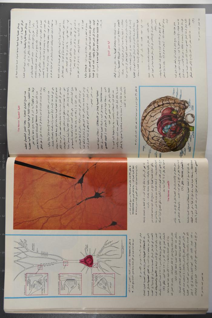 Alfaisal Magazine, the Thirty-seventh Issue