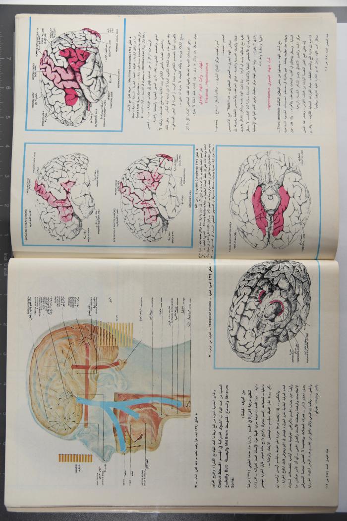 Alfaisal Magazine, the Thirty-seventh Issue