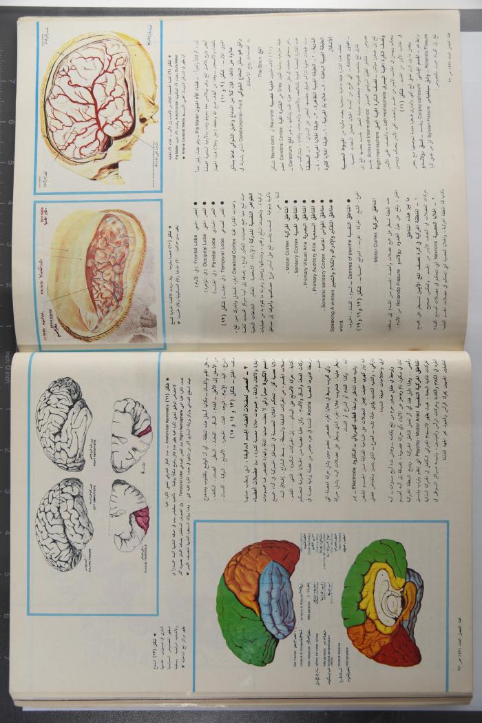 Alfaisal Magazine, the Thirty-seventh Issue