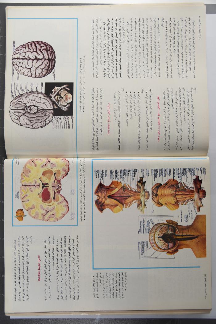 Alfaisal Magazine, the Thirty-seventh Issue