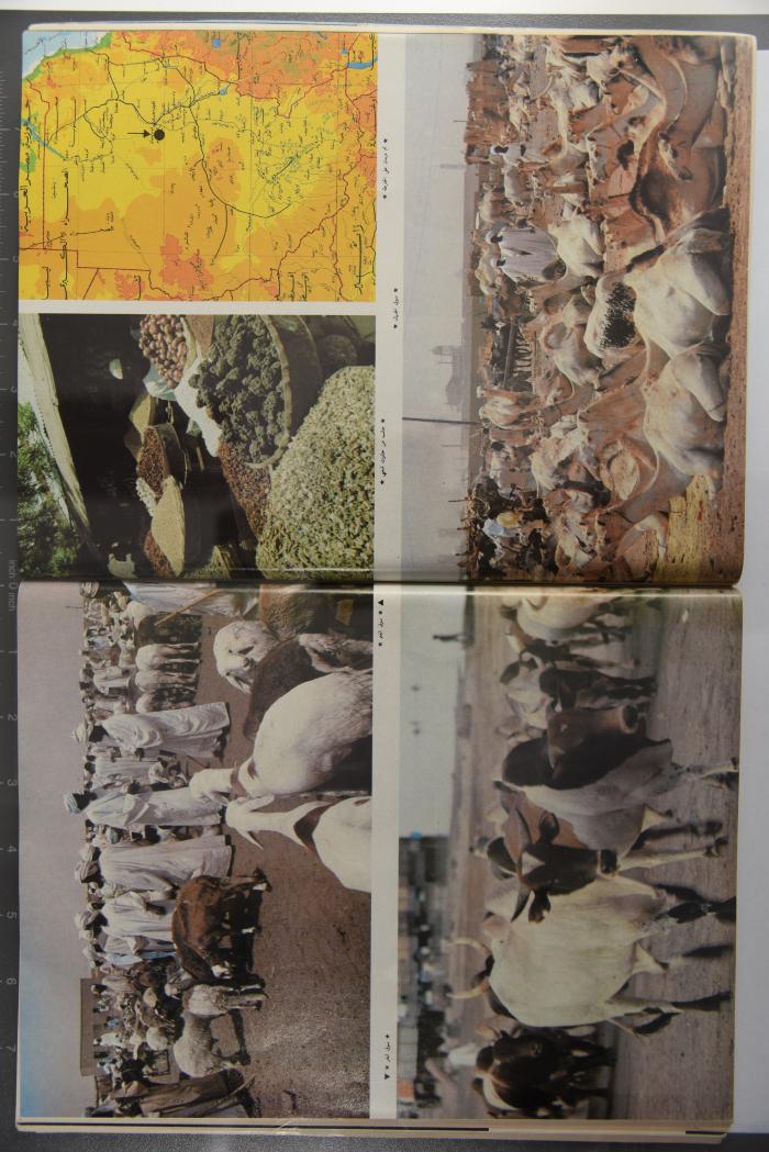 Alfaisal Magazine, the Thirty-seventh Issue