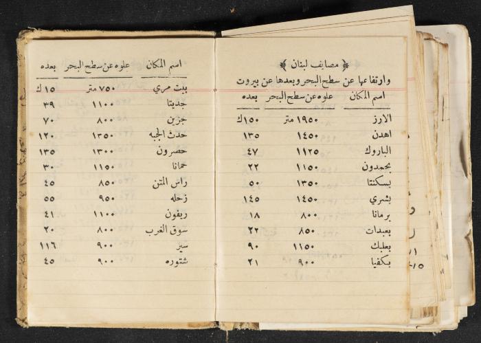 The Diary of Rasem Kamal Ismail, 1940