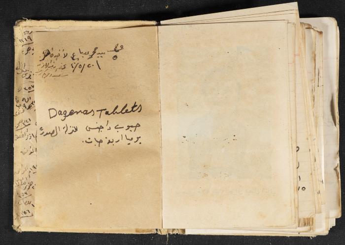 The Diary of Rasem Kamal Ismail, 1940