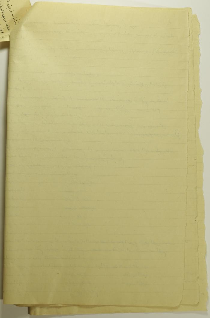 A Report on a Field Trip to Jericho in 1955