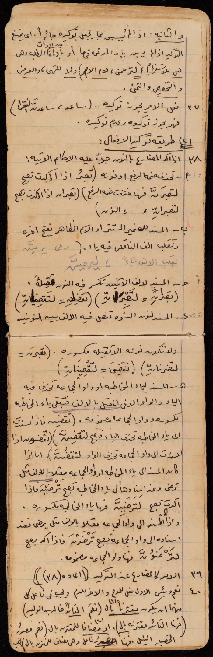 A Summary of a Book by Ragheb Kayed, Sebastia, the 1920s