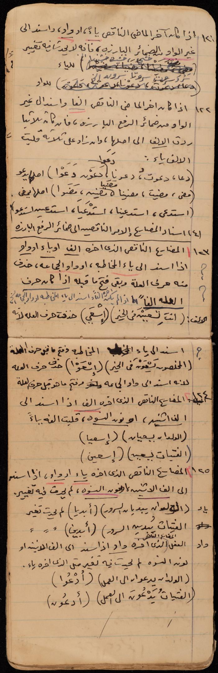 A Summary of a Book by Ragheb Kayed, Sebastia, the 1920s