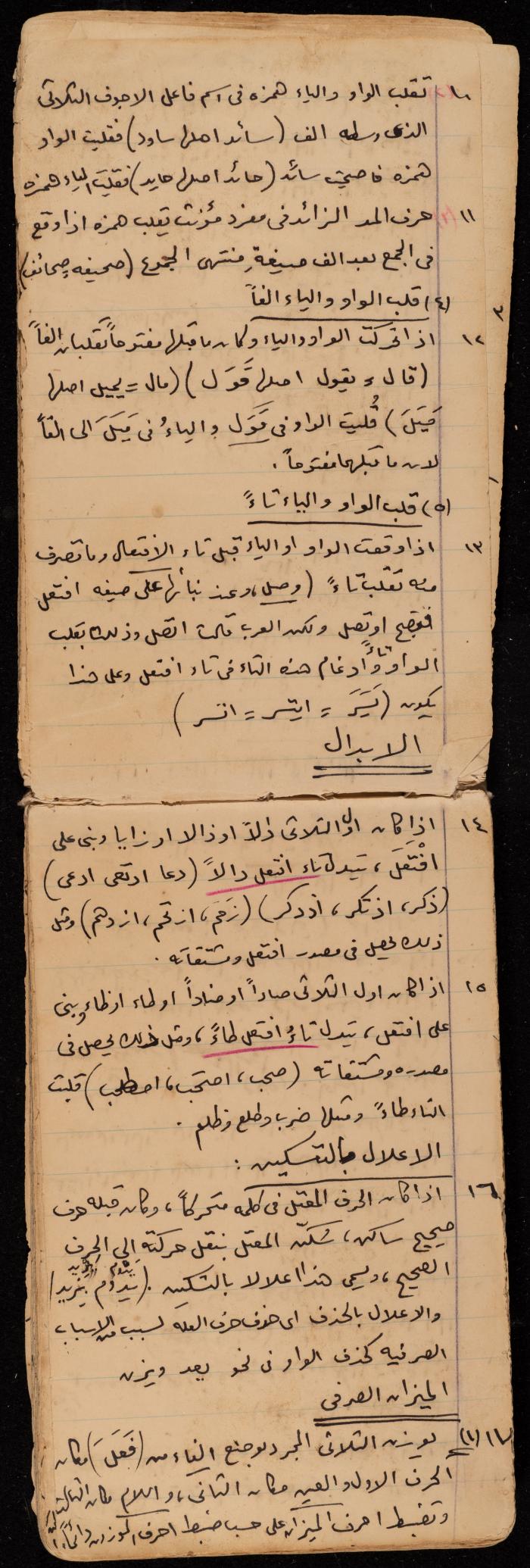 A Summary of a Book by Ragheb Kayed, Sebastia, the 1920s