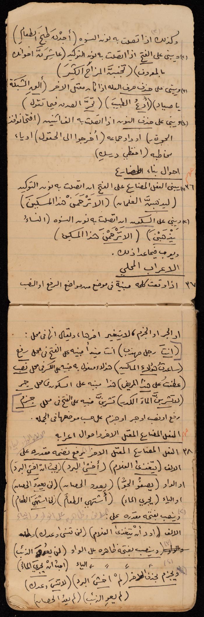 A Summary of a Book by Ragheb Kayed, Sebastia, the 1920s