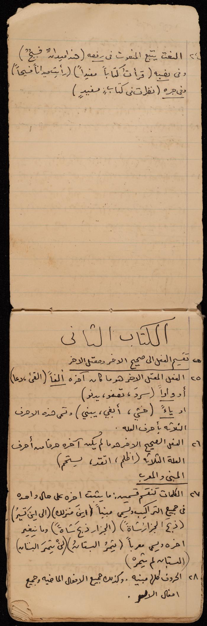 A Summary of a Book by Ragheb Kayed, Sebastia, the 1920s