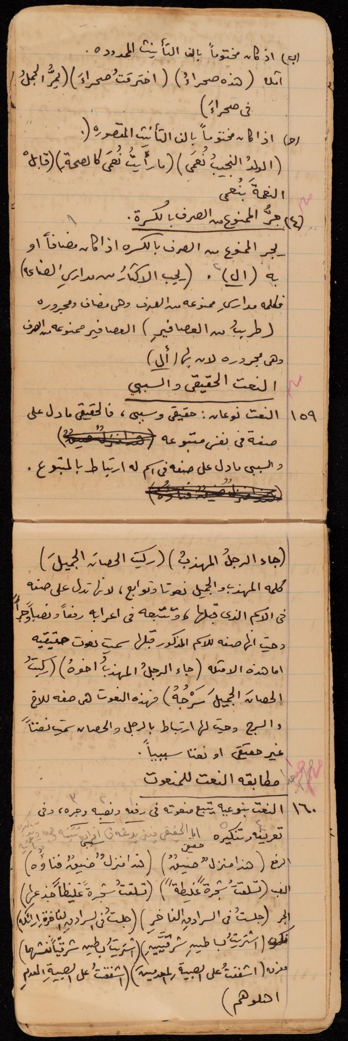 A Summary of a Book by Ragheb Kayed, Sebastia, the 1920s