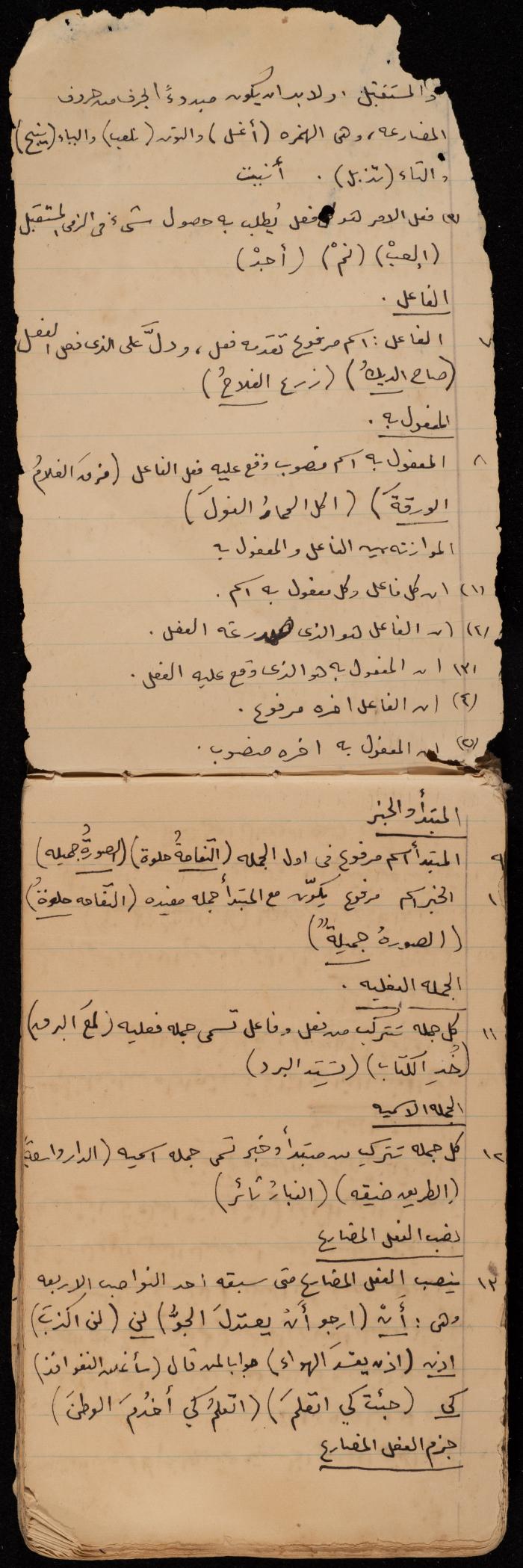A Summary of a Book by Ragheb Kayed, Sebastia, the 1920s