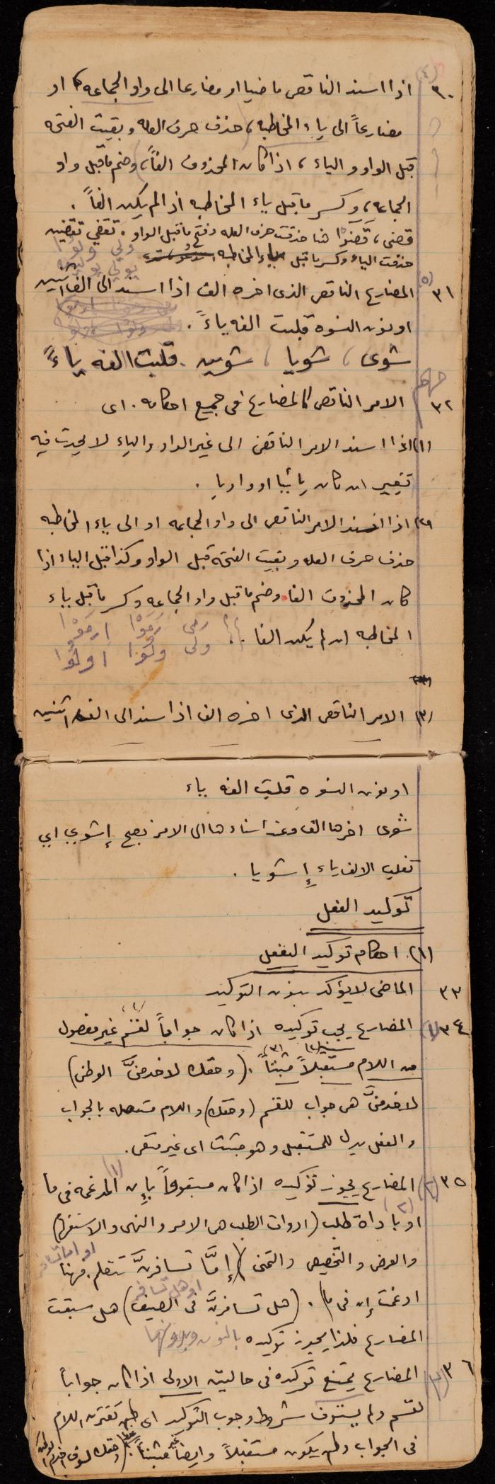 A Summary of a Book by Ragheb Kayed, Sebastia, the 1920s