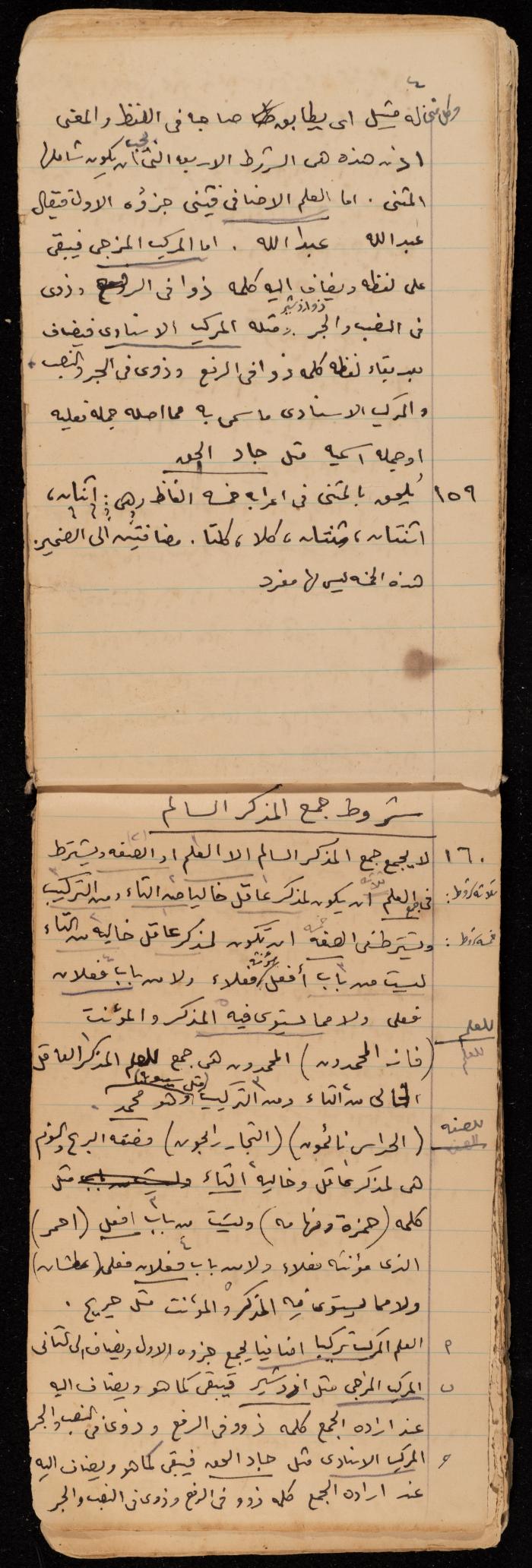 A Summary of a Book by Ragheb Kayed, Sebastia, the 1920s