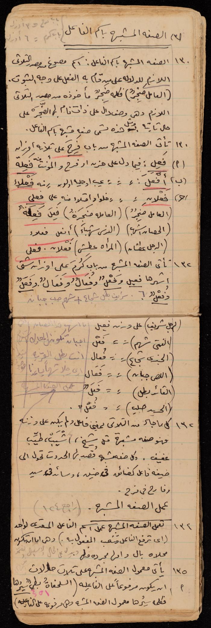 A Summary of a Book by Ragheb Kayed, Sebastia, the 1920s