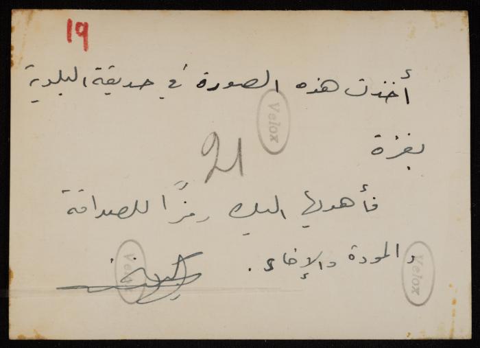 Emil Costandi's Friend at the Gaza Municipality Garden, 1947