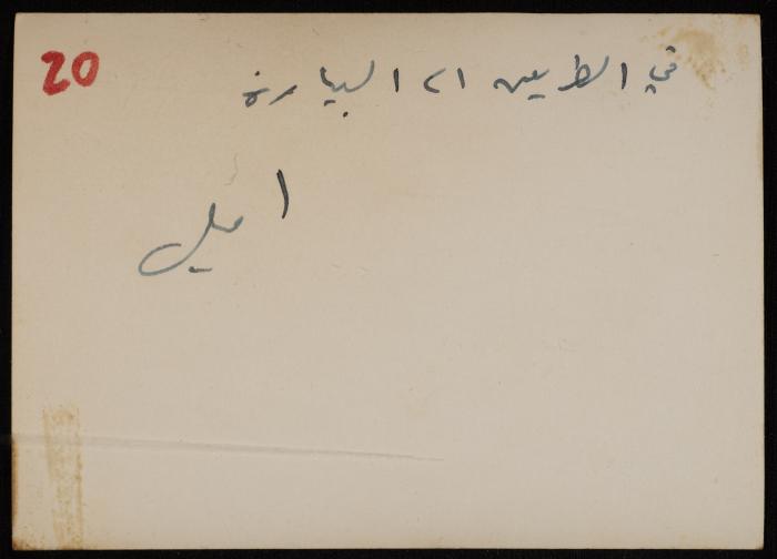 Al-Amiriya School's Trip to the Orchard of Taher Salah, Yafa, 1947