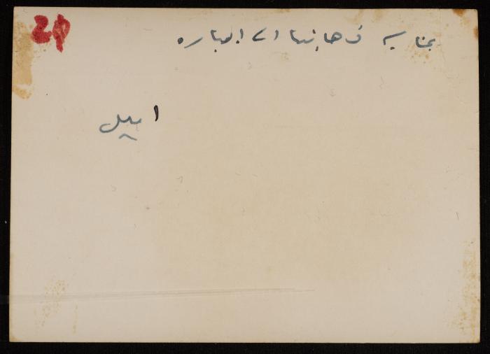 Al-Amiriya School's Trip to the Orchard of Taher Salah, Yafa, 1947
