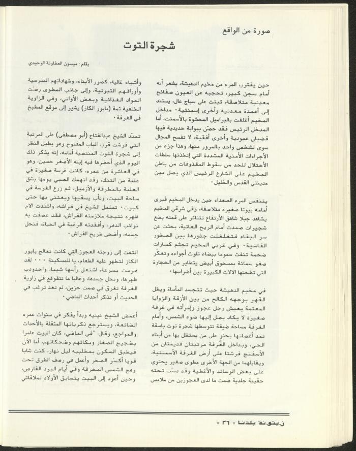 العدد الثاني من مجلة زيتونة بلدنا، تموز 1992