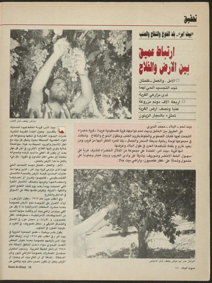 Issue 135 of Sawt al-Bilad Magazine, 1- 8 September 1987