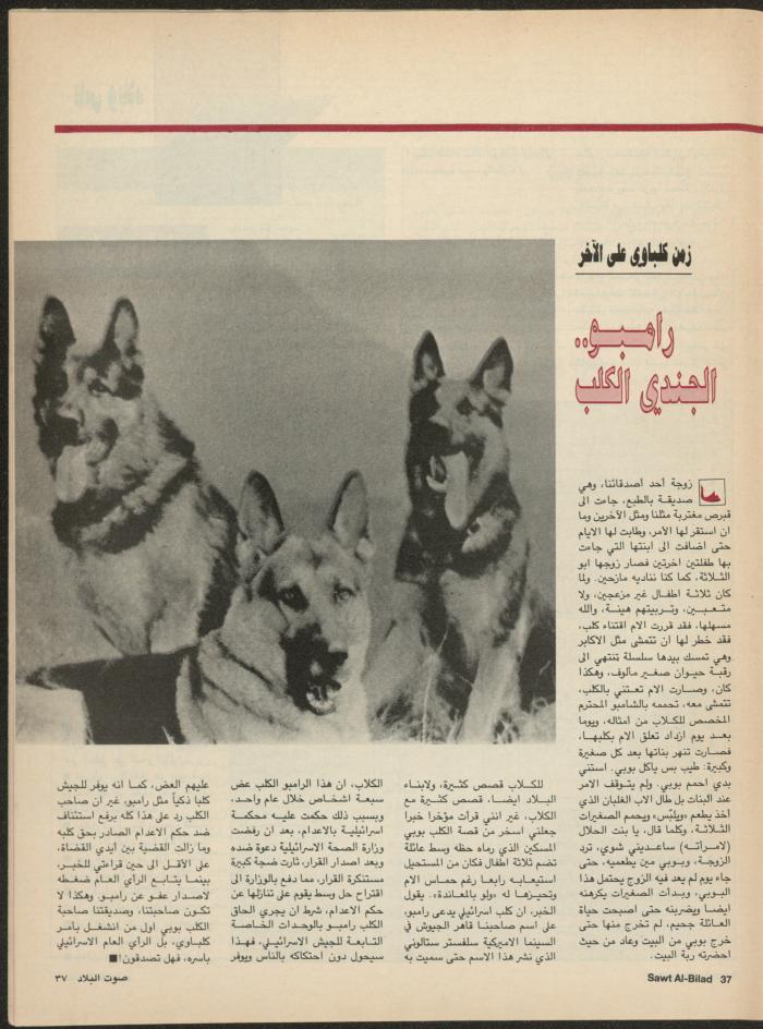 Issue 136 of Sawt al-Bilad Magazine, 8- 15 September 1987