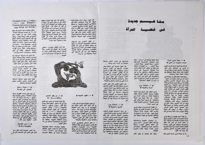 العدد الأول من نشرة 