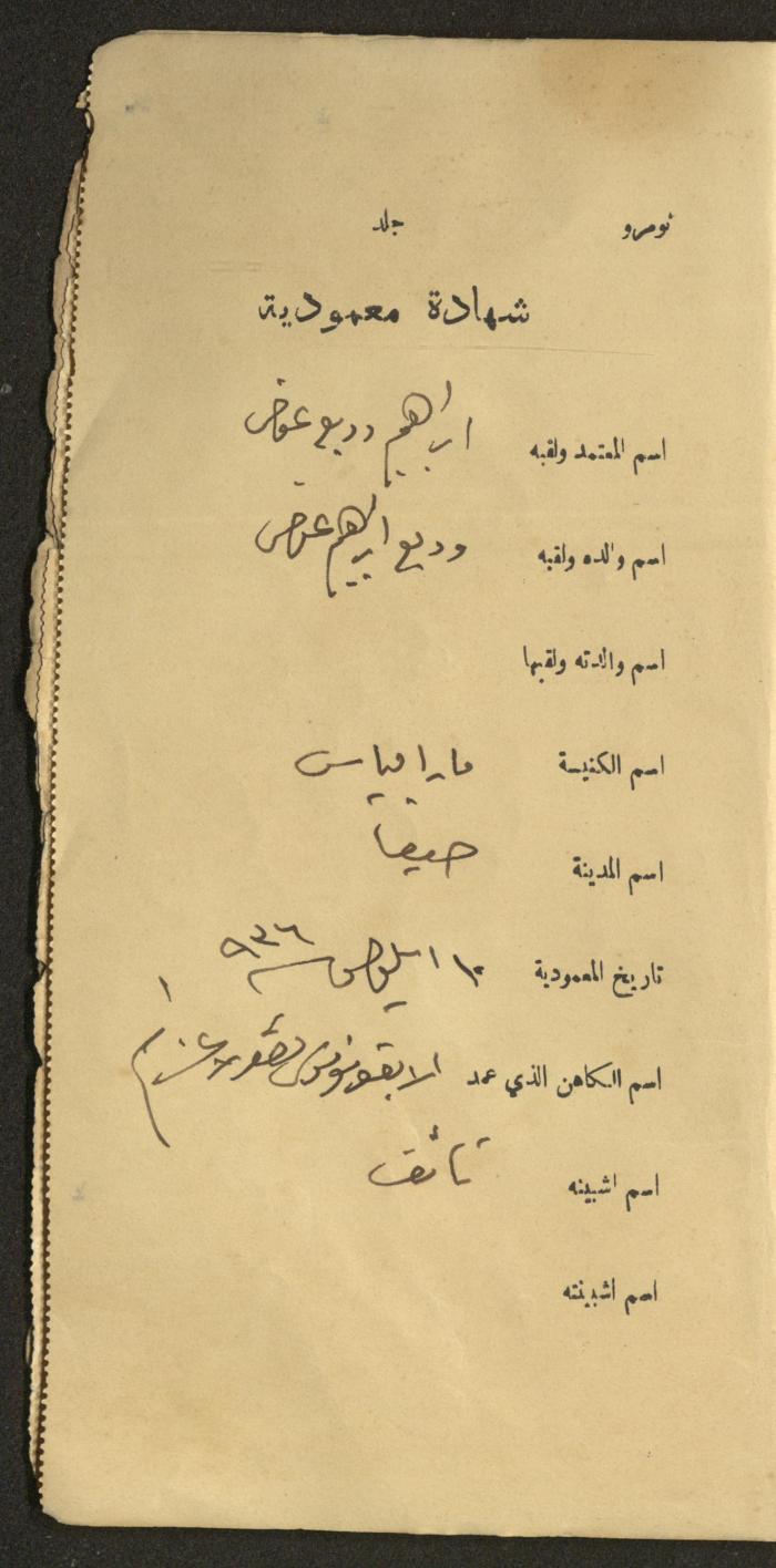 دفتر شهادات معمودية صادر عن المجلس الملّي الوطني الأرثوذكسي، 1924-1929