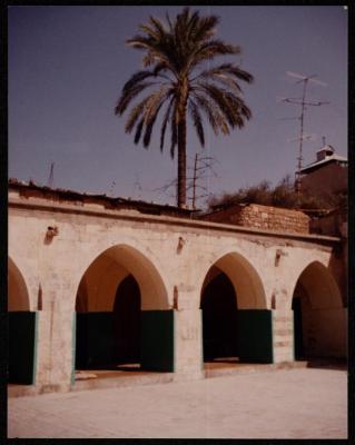 مسجد ابن عثمان، غزة، 1984