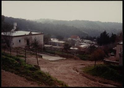 Several Houses in Ein Hawd al-Jadida, 1980- 1989