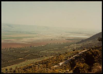 The Lands of Mallaha Village, Safad, 1980- 1989