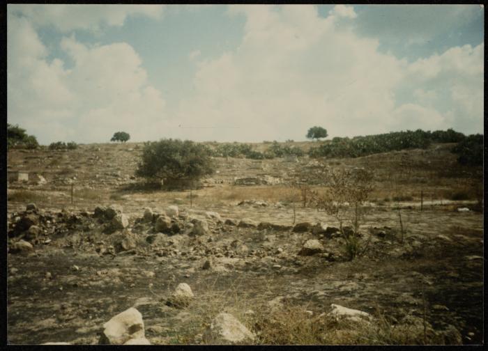 A Cemetery in the 1948 Occupied Palestinian Territory, 1980- 1989
