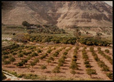The Monastery of the Temptation, Jericho, 1980- 1989