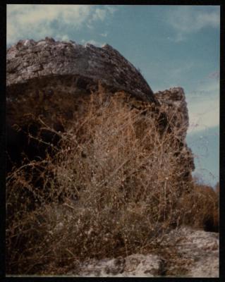 The Wall of Asqalan, 1984