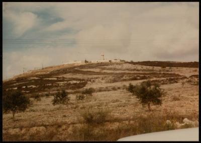 جامع صانور، 1986