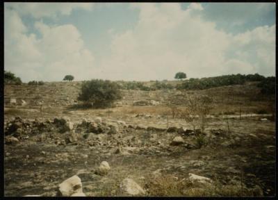 A Cemetery in the 1948 Occupied Palestinian Territory, 1980- 1989