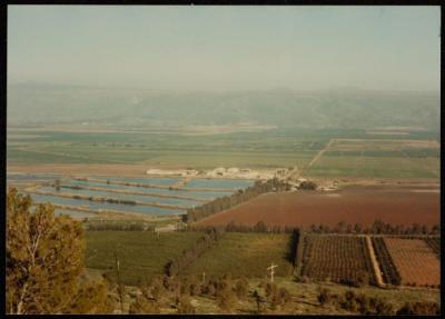 The Depopulated Village of Ghuraba, Safad, 1980- 1989