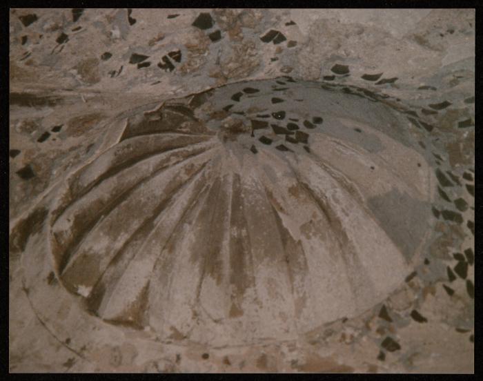 سقف مسجد، المجدل عسقلان، 1984