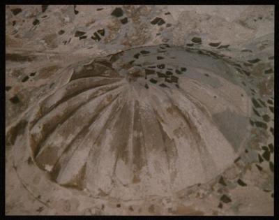 سقف مسجد، المجدل عسقلان، 1984