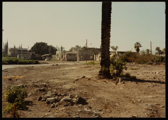 Bisan, 1987