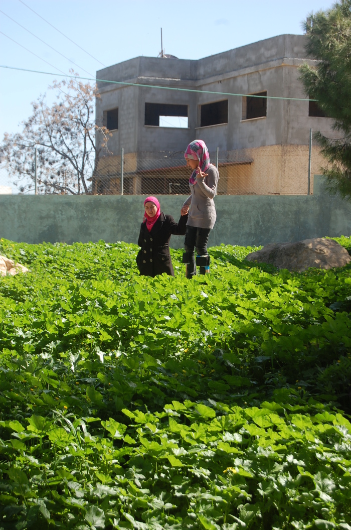 A Photograph of the PCS's Rehearsal in Jenin, 2011