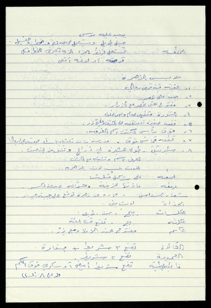 Scout File, al-Murabitat Charitable Society, Qalqilya, 1993