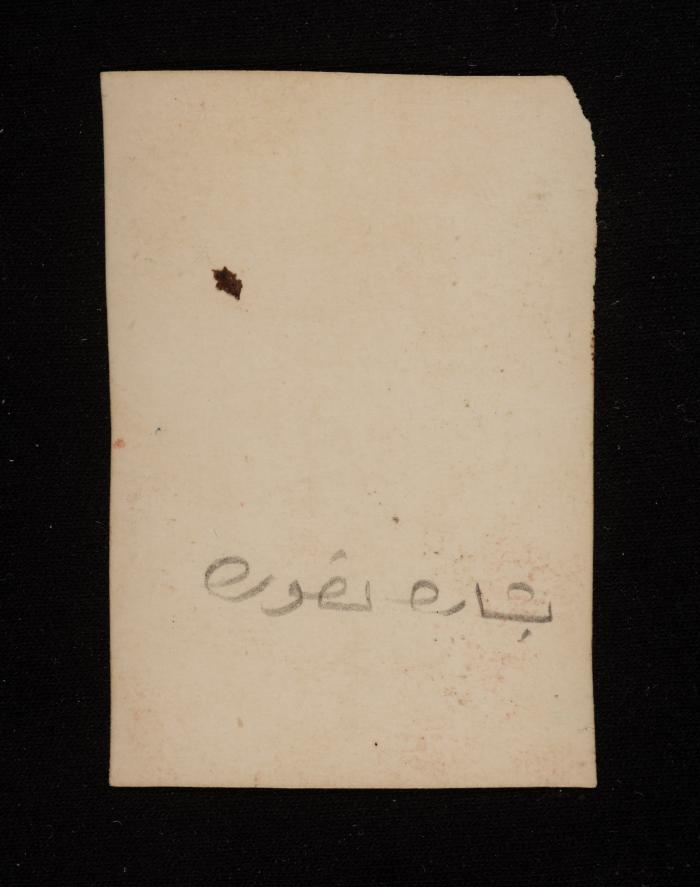 A Portrait of Bshara Nassura