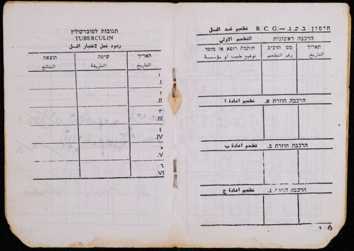 دفتر تطعيمات لبراء ديريه، عقربا، 1993