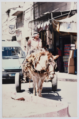 عجوز يركب عربة يجرها حمار، رام الله، تسعينيات القرن العشرين 